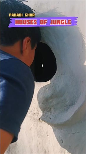 Houses in jungle🌲 #trendingshorts #house #jungle #kashmir #newyear #shortsfeed #viral #viralvideo