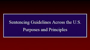Sentencing Guidelines’ Purpose and Principles in Other States