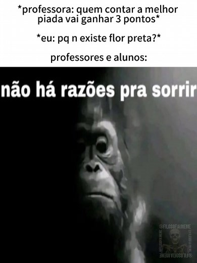 Memes de Filosofia: A Questão da Flor Preta