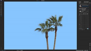How To Add A Solid Color Background In ON1 Photo RAW — Scott Davenport Photography