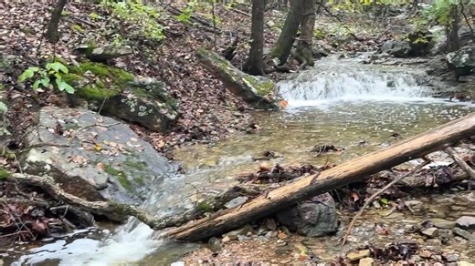 We had some crazy rain earlier today so I went down to our hollow to catch the waterfalls putting on a show. | Ricky Tims