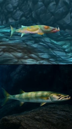Hungry Shark World Fishes Vs In Real Life