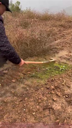 Easily Clear Weeds with a Tool and Revive the Land!