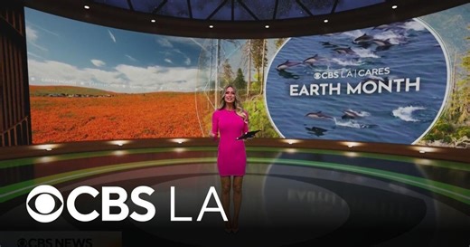 The difference between weather and climate