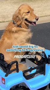 Drivers who switch and save with Progressive save $835 on average. That’s a lot of treats. | Progressive