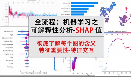 全流程：机器学习之可解释性分析-SHAP值，彻底了解每个图的含义 特征重要性-特征交互