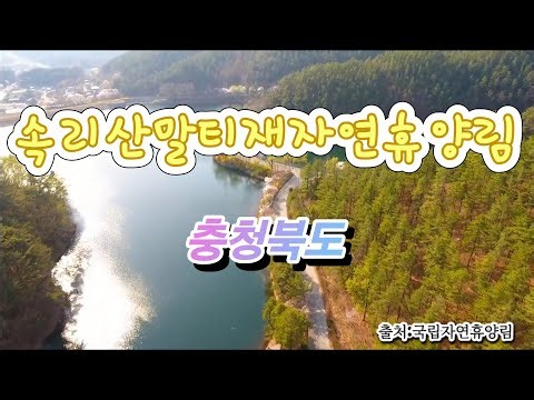 [휴양림][충청북도] 속리산말티재자연휴양림