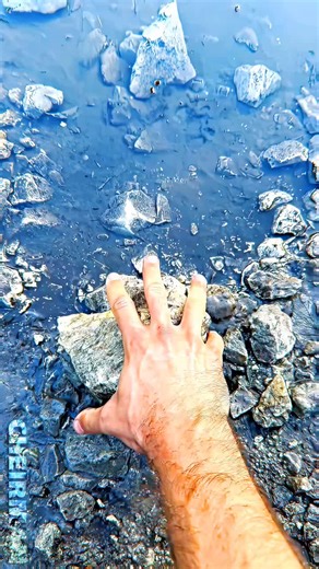 sturdygang TST (@sturdygangboys)’s videos with original sound - sturdygang TST