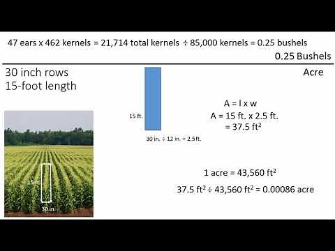 Harvest and Yield Estimation Calculations