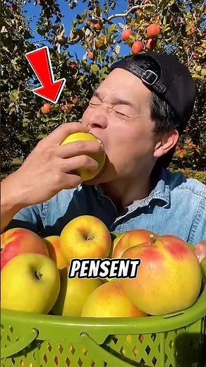 La Vérité ÉTONNANTE sur le Meilleur Fruit du Monde ! 🍇✨