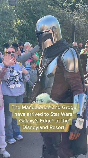 Wow! Look at the baby! #themandalorian #grogu #groguyodababy #disneyland #disneylandresort #disneylandcalifornia #mandalorian #starwarsgalaxysedge #galaxyedge #disneythemepark #disneyparks #disneyplus #disneymagicmoments #disneymagic #starwarscharacters #disneymagickeyholder #disneymagickey #disneymagickeyholders #disneylandresorts #starwarstiktok