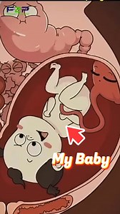 Is this why morning sickness hits so hard? 🤢 #Pregnancy #pregnant #pregnancyjourney | Pregnancy to parenting