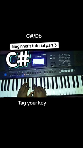 Beginner's Keyboard Tutorial: Mastering Notes and Techniques