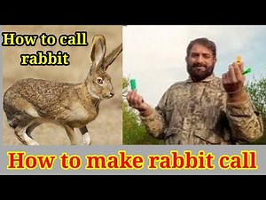 How to make a rabbit call rabbit sound!!How to hunt rabbit