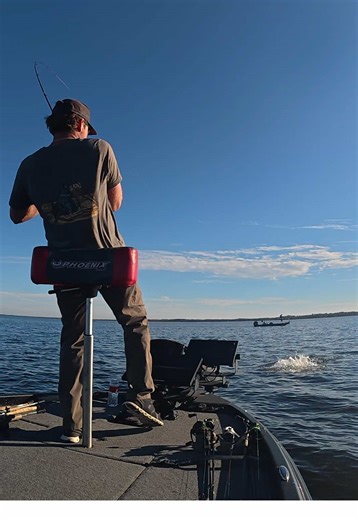 Expert Tips for Successful Bass Fishing