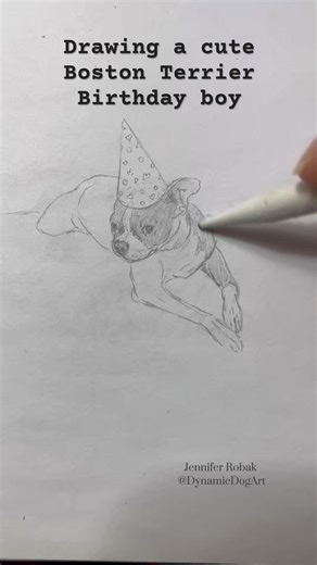 Pencil drawing Boston Terrier, daily practice sketch #artvideo #dogart #dogdrawing #pencildrawing
