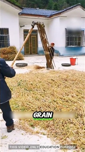 This Ancient Tool Changed Farming Forever 🌾 #AncientInventions #Agriculture #HistoryFacts