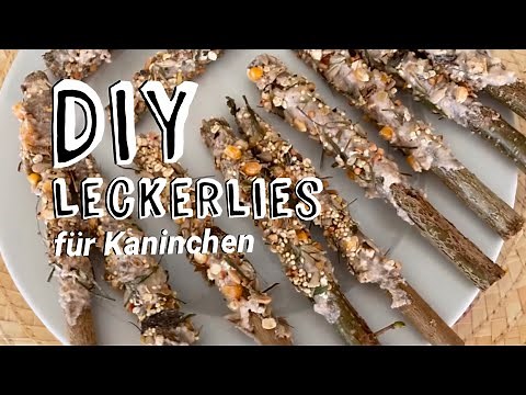 Diy Kaninchen Leckerlie Knabberstangen selber machen l Lenatur
