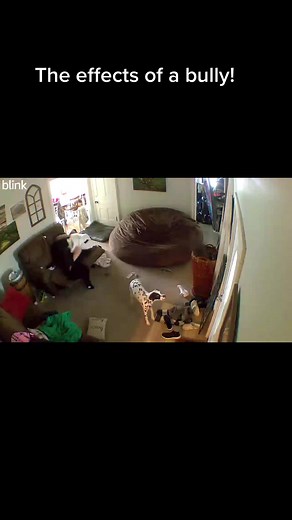 Effects of Bullying on Students: Heartbreaking Mom Defending Her Child