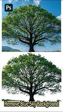 Remove Blue Sky Background in Photoshop – Easy & Fast | #Shorts