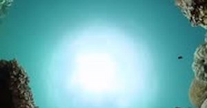 Ocean Scene Underwater World with Fish and Corals