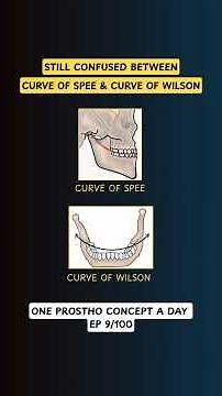 Curve of Spee vs Curve of Wilson | Occlusal Planes | Ep 9/100- 1 Prosthodontic Concept/Day #shorts