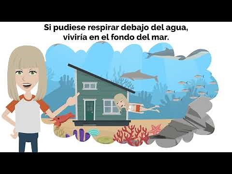Conditional sentences in Spanish