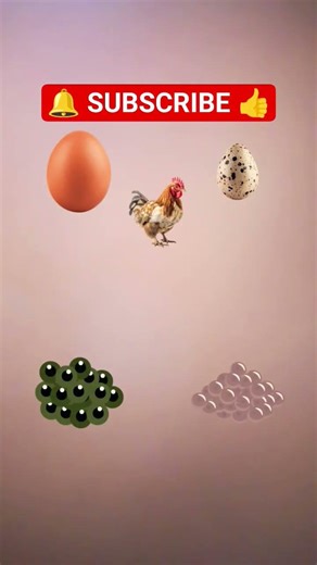 cool Effects of YouTube