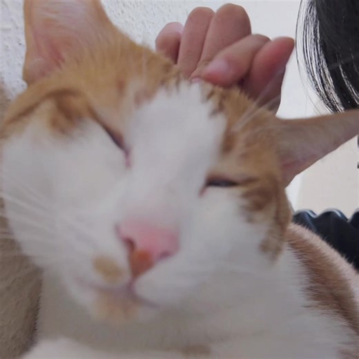 My First Attempt at Color Grading Using CapCut