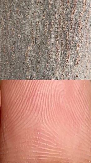 ⭐️ ⋆𐙚₊˚🍓🧋 on Instagram: "The universe repeats itself . . . . Visual art , visual note taking , the universe is made of the same patterns , art , Pinterest , Pinteresty , aesthetics , nature , love , patterns , poetry , reels , explore , fyp . . . #visual #artofnoticing #visualstoryteller #pinterest #visualstorytelling #fyp #throughmylens #seetheworldthroughmyeyes"