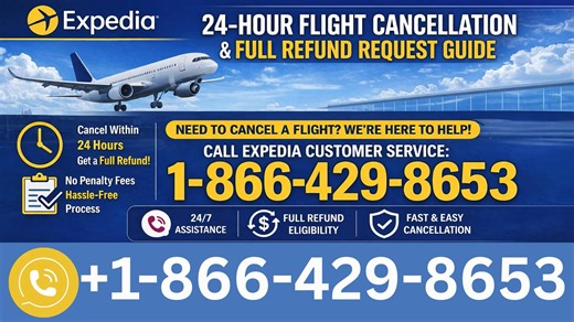 Expedia Flight Ticket 24-Hour Refund Request | How to Cancel Flight & Get Refund