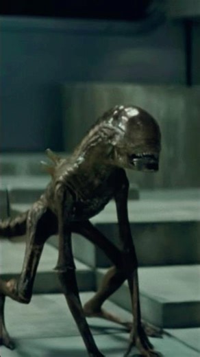 We Invade Ourselves With Predatory Species... it Seems Curiosity is Half a SIN