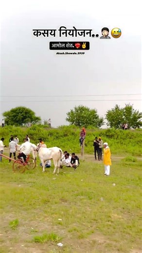 नाद एकाच बैलगाडी शर्यत 💯 #बैलगाडा_शर्यत_महाराष्ट्र#whatsappstatus #बैलगाडाlover#बैलगाडा_जीव_की_प्राण