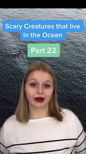 The Fearsome Liopleurodon: Facts, Size, and Diet