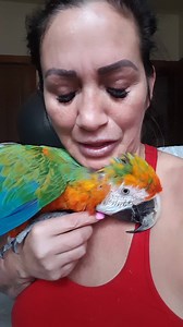 37K views · 2.5K reactions | It can be hard for novice bird owners to...