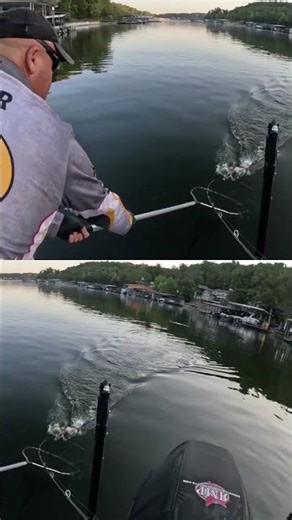 Why Topwater Catches BIG Bass #bassfishing #fishing #technique