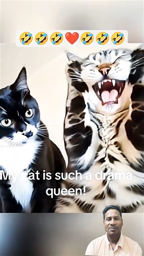 "Epic Cat Slap! Screaming Chaos! 🐱😂"#FunnyCats #CatSlap #EpicCatFight #ScreamingCat #CrazyCats