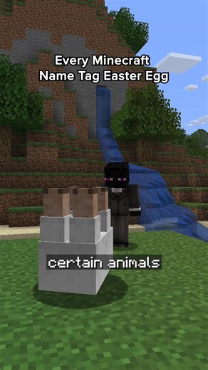 Have you heard of these @Minecraft name tag Easter eggs?