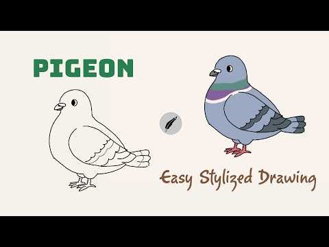 How to Draw a Stylized Pigeon A Simple, Easy and Minimalist Bird Drawing Tutorial #lidoartworks