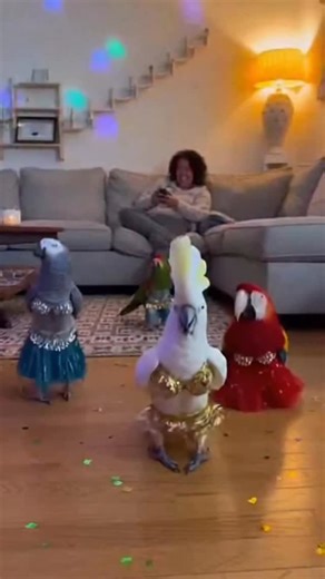 @tourist.channel | Bird Costume Madness | Instagram