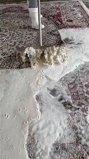 Ultimately Satisfying Carpet Cleaning Video