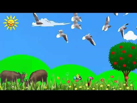 Background Hewan dan Tumbuhan Animasi Bergerak No Copyright- ( Media Ilmu )