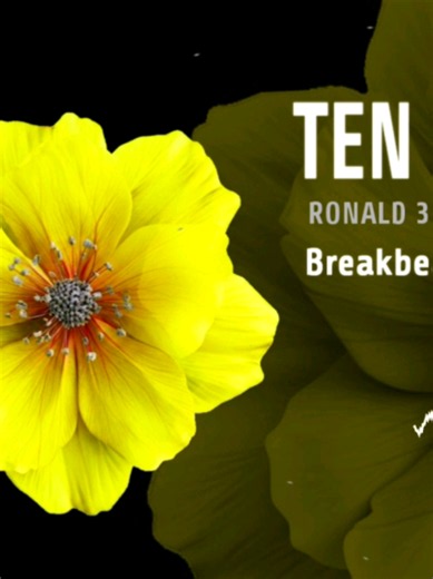 Ten Feet Tall breakbeat — Ten Feet Tall song & breakbeat version