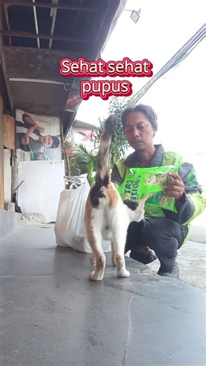 Sayangi kucing jalanan🥰 😻 #kucingjalanan #berbagikebaikan #kucingliar #berkahramadhan #fypシ
