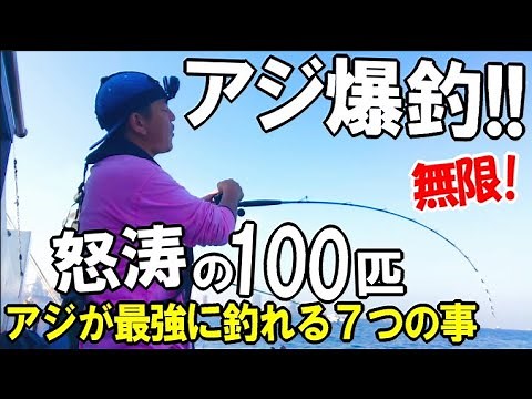 【簡単】金アジが100匹釣れる最強の釣り方！アジ爆釣祭り凄すぎ！ライトタックルアジ船で抑えるべき７つの事！←アジパして食います