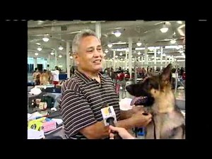 Hawaiian Kennel Competition To Begin