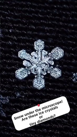 Snow under the microscope! Are these ice crystals or tiny diamonds?