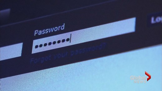 Don’t be fooled by the password email scam | Globalnews.ca