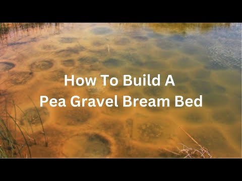 Building 3 Pea Gravel Bream Beds in a 5 Acre Pond