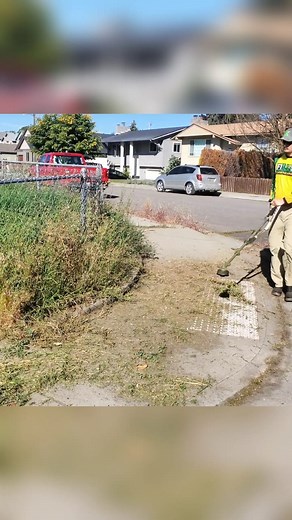 939K views · 17K reactions | Overgrown Sidewalk Makeover  | Fill's Lawn Care | Facebook